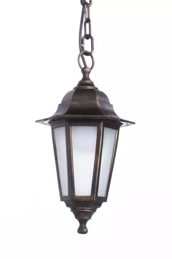 Уличный подвесной светильник Arte Lamp ZAGREB A1217SO-1BR