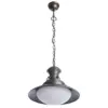 Подвесной светильник Arte Lamp FERRICO A9256SP-1BG