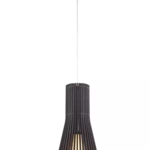 Подвесной светильник Arte Lamp CARCASSA A2931SP-1BR