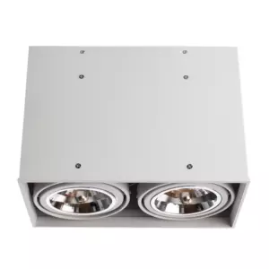Точечный накладной светильник Arte Lamp CARDANI GRANDE A5936PL-2WH Точечный накладной светильник Arte Lamp CARDANI GRANDE A5936PL-2WH
