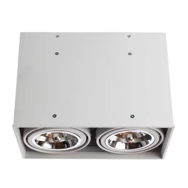 Точечный накладной светильник Arte Lamp CARDANI GRANDE A5936PL-2WH