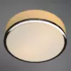 Потолочный светильник Arte Lamp AQUA A4440PL-2CC