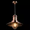 Подвесной светильник Arte Lamp FISHERMAN A5530SP-1RB