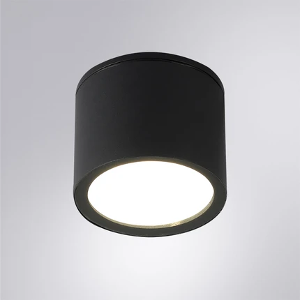 Уличный потолочный светильник Arte Lamp PIAUTOS A1913PF-1BK Уличный потолочный светильник Arte Lamp PIAUTOS A1913PF-1BK