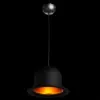 Подвесной светильник Arte Lamp CAPPELLO A3234SP-1BK