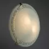 Потолочный светильник Arte Lamp ANTICA A4220PL-2CC