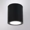 Уличный потолочный светильник Arte Lamp TORCULAR A1313PF-1BK