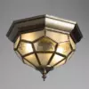 Потолочный светильник Arte Lamp COPPERLAND A7833PL-2AB
