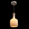 Подвесной светильник Arte Lamp ACCENTO A8115SP-1WH