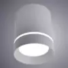 Точечный накладной светильник Arte Lamp ELLE A1909PL-1GY