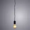 Подвесной светильник Arte Lamp FUORI A9184SP-1BK