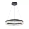 Подвесная люстра Arte Lamp APOLLO A2549SP-75BK Подвесная люстра Arte Lamp APOLLO A2549SP-75BK