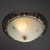 Потолочный светильник Arte Lamp ALTA A3014PL-2AC