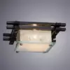 Потолочный светильник Arte Lamp ARCHIMEDE A6463PL-1BR