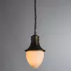 Уличный подвесной светильник Arte Lamp VIENNA A1317SO-1BN