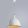 Подвесной светильник Arte Lamp CICLONE A9155SP-1WH