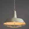 Подвесной светильник Arte Lamp PANDORA A9183SP-1WG