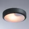Уличный потолочный светильник Arte Lamp CITY A8154PF-2GY