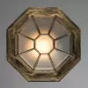 Уличный потолочный светильник Arte Lamp PEGASUS A3121PF-1BN