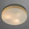 Потолочный светильник Arte Lamp AQUA A3211PL-3WH