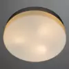 Потолочный светильник Arte Lamp AQUA-TABLET A3211PL-3SI