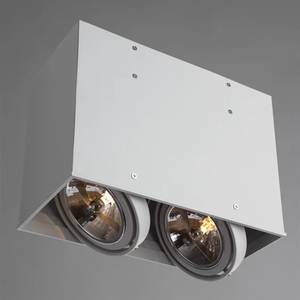 Точечный накладной светильник Arte Lamp CARDANI GRANDE A5936PL-2WH