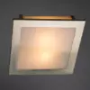 Потолочный светильник Arte Lamp FLUSHES A6064PL-2SS