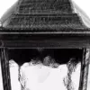 Уличный подвесной светильник Arte Lamp GENOVA A1205SO-1BS