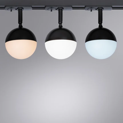 Трековый светильник Arte Lamp VIRGO A4565PL-1BK Трековый светильник Arte Lamp VIRGO A4565PL-1BK