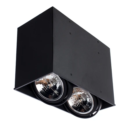 Точечный накладной светильник Arte Lamp CARDANI GRANDE A5936PL-2BK