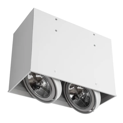 Точечный накладной светильник Arte Lamp CARDANI GRANDE A5936PL-2WH