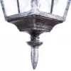 Уличный подвесной светильник Arte Lamp PARIS A1355SO-1BS