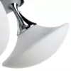 Потолочная люстра Arte Lamp AQUA A2550PL-3CC