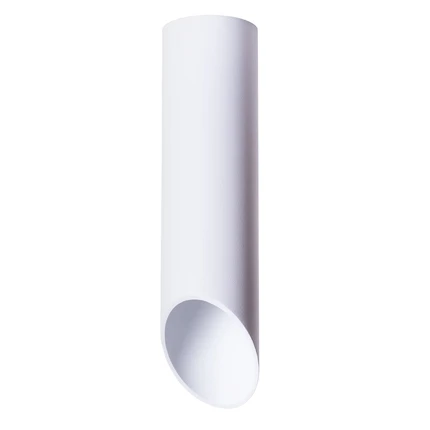 Точечный накладной светильник Arte Lamp PILON A1622PL-1WH